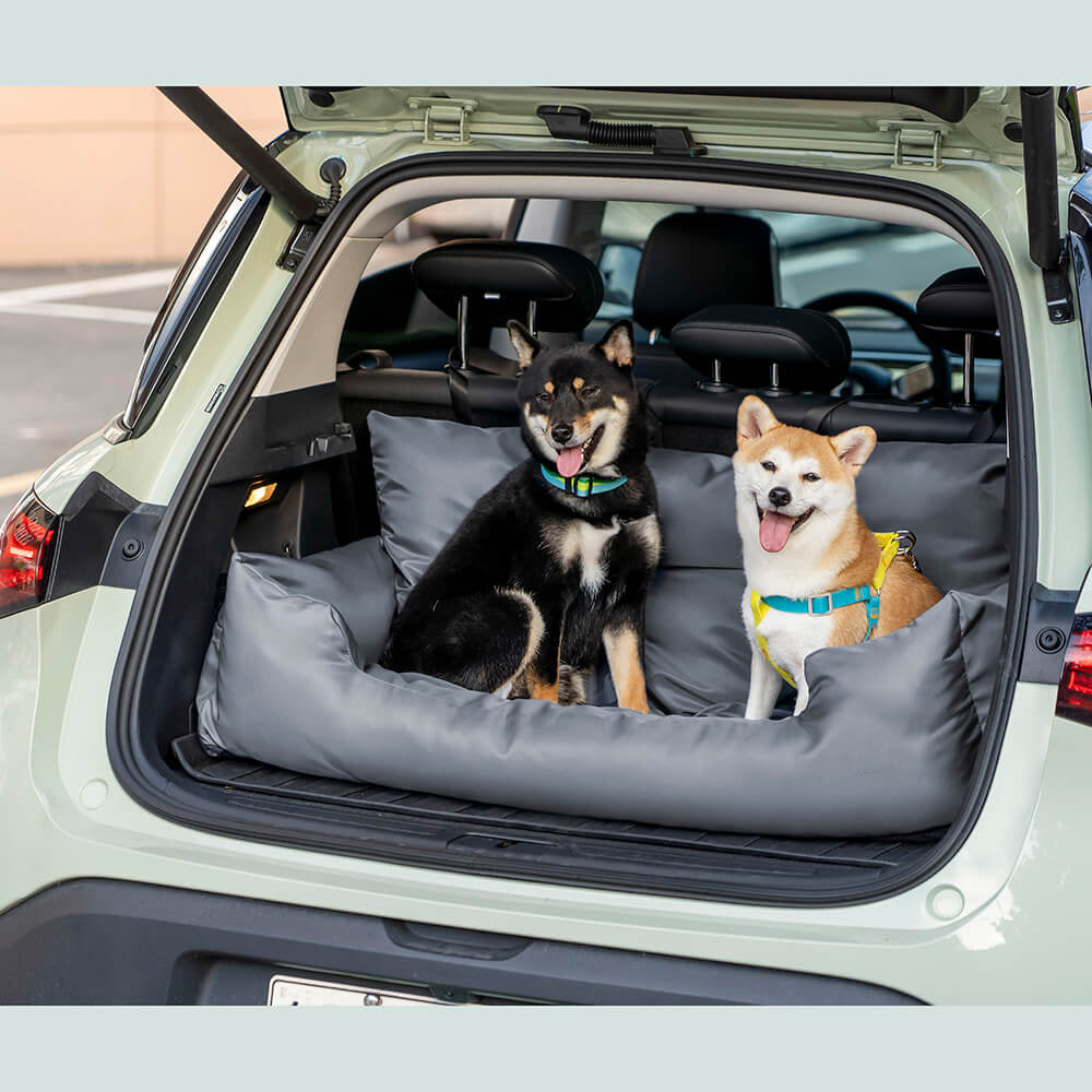 Hund im Auto in den USA: Die Vorschriften je Bundesstaat
