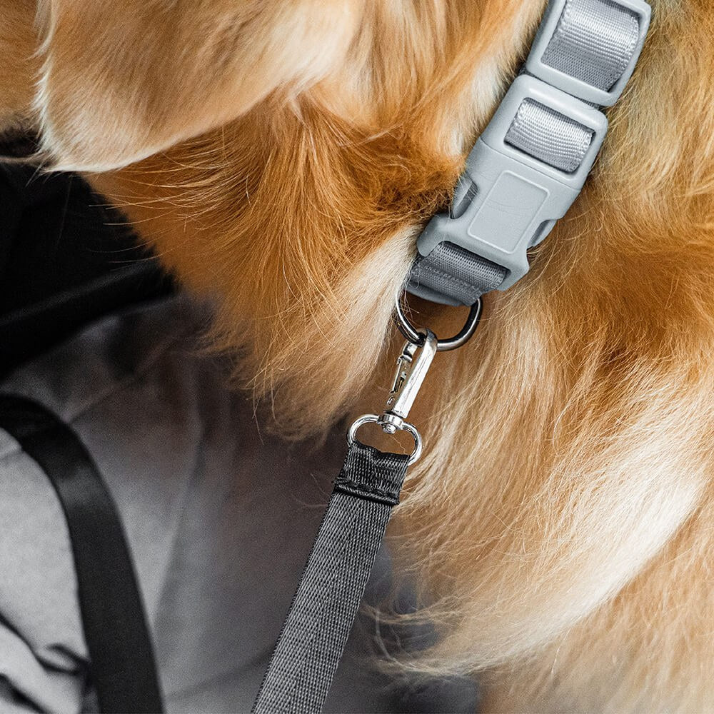 Small Dog Car Seat - Waterproof Booster Bed for Small Breeds