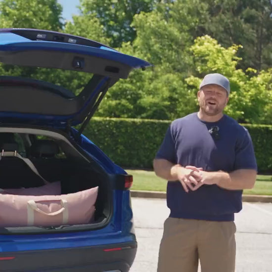 TheDogCarSeat dog car seat demonstration