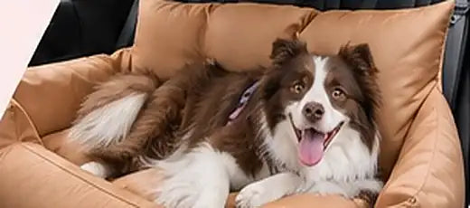 Dog relaxing in a TheDogCarSeat dog car seat, size L