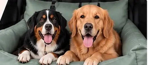 Dog relaxing in a TheDogCarSeat dog car seat, size XL