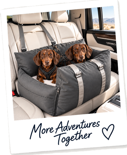 Dog car seat in